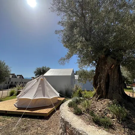 Nirikos Campsite