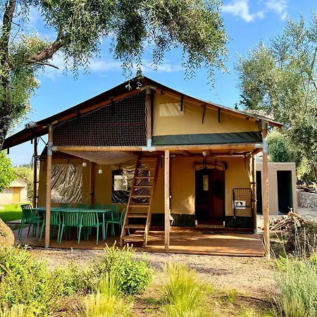 Nirikos * Spasmeni Vrisi