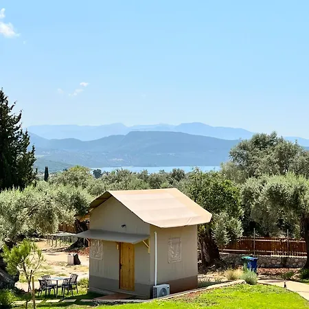 Nirikos Spasmeni Vrisi