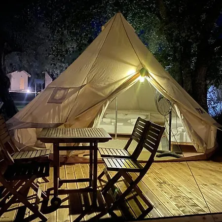 Nirikos Kamp alanı *