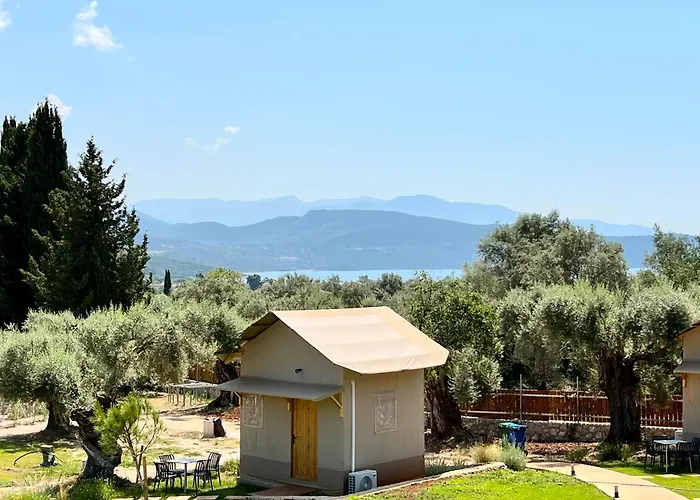 Nirikos Spasmeni Vrisi